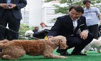 남양주시, 반려가족 위한 생활권 여가·소통 공간 평내동 반려견 놀이터 개장